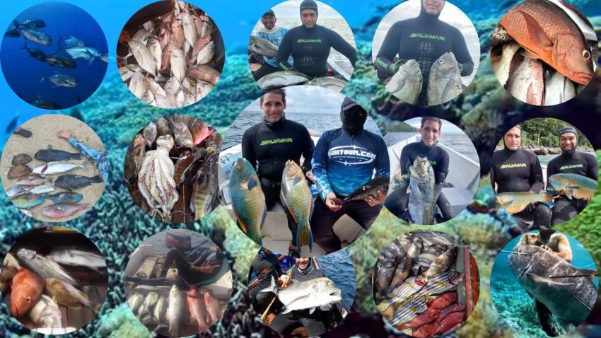 Indonesia Spearfishing Trip